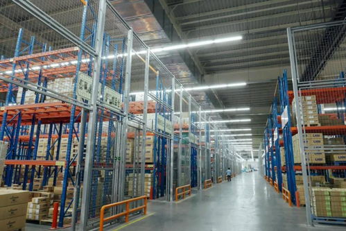 淘寶電商倉儲物流倉庫員工管理與自動化設備優化指南